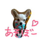 キキ☆ララ☆もも（個別スタンプ：8）