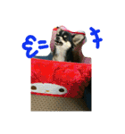 キキ☆ララ☆もも（個別スタンプ：10）