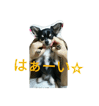 キキ☆ララ☆もも（個別スタンプ：18）