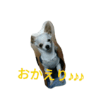 キキ☆ララ☆もも（個別スタンプ：29）