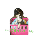 キキ☆ララ☆もも（個別スタンプ：32）