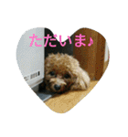 キキ☆ララ☆もも（個別スタンプ：33）