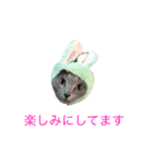 ロシアンブルートム（個別スタンプ：11）