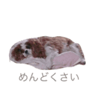 ティアラちゃん（個別スタンプ：7）