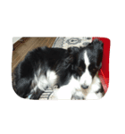可愛い犬達（個別スタンプ：8）