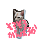 loverysora（個別スタンプ：5）