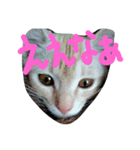 loverysora（個別スタンプ：7）