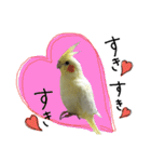 オカメインコのきなこちゃん（個別スタンプ：2）