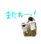 hey！boy！！（個別スタンプ：8）