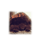 弥七くんスタンプ（個別スタンプ：1）