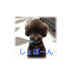弥七くんスタンプ（個別スタンプ：6）