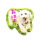 だいこちゃん感謝スタンプ（個別スタンプ：1）