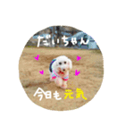 だいこちゃん感謝スタンプ（個別スタンプ：2）