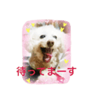 だいこちゃん感謝スタンプ（個別スタンプ：10）