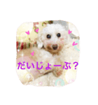 だいこちゃん感謝スタンプ（個別スタンプ：11）