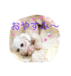だいこちゃん感謝スタンプ（個別スタンプ：12）