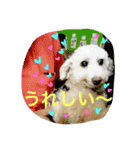 だいこちゃん感謝スタンプ（個別スタンプ：13）