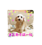 だいこちゃん感謝スタンプ（個別スタンプ：16）