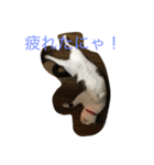 そらのきまぐれ（個別スタンプ：1）