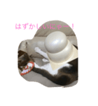 そらのきまぐれ（個別スタンプ：6）