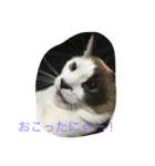 そらのきまぐれ（個別スタンプ：7）