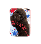 Toy Poodlecopi（個別スタンプ：2）