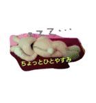 着ぐるみうさ君の日常（個別スタンプ：7）