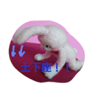 着ぐるみうさ君の日常（個別スタンプ：15）