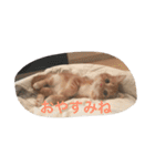 にゃん太の日々（個別スタンプ：4）