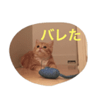 にゃん太の日々（個別スタンプ：6）