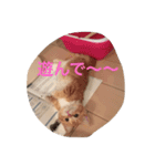 にゃん太の日々（個別スタンプ：8）