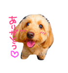 メルリキニコスタンプ（個別スタンプ：1）