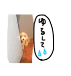 メルリキニコスタンプ（個別スタンプ：7）