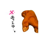 メルリキニコスタンプ（個別スタンプ：23）