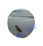 海の柴犬ケリー（個別スタンプ：4）