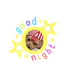 ポメポアスタンプ（個別スタンプ：9）