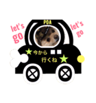 ポメポアスタンプ（個別スタンプ：27）