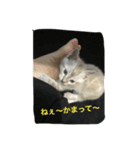 Sakuranyann（個別スタンプ：2）