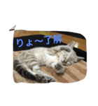Sakuranyann（個別スタンプ：3）