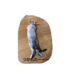 Sakuranyann（個別スタンプ：6）