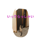 Sakuranyann（個別スタンプ：14）