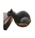 Cat.Russian Blue,Abyssinian（個別スタンプ：6）