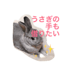 陽斗の周りの人たちに使ってほしいスタンプ（個別スタンプ：24）