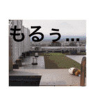 陽斗の周りの人たちに使ってほしいスタンプ（個別スタンプ：25）