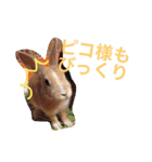 陽斗の周りの人たちに使ってほしいスタンプ（個別スタンプ：29）