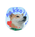 bao cafe（個別スタンプ：7）