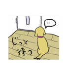 ミニチュアダックス・ノエルの日常（個別スタンプ：22）