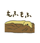 ミニチュアダックス・ノエルの日常（個別スタンプ：37）