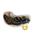 big fat Chokdee（個別スタンプ：6）