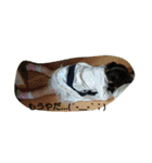 kana_0507（個別スタンプ：26）